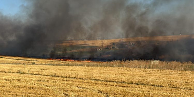 Sursa foto: ISU Constanța