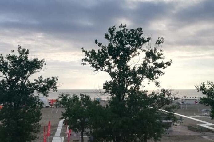 Nori Mamaia