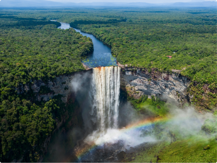guyana-rainforest-banner-1024x771