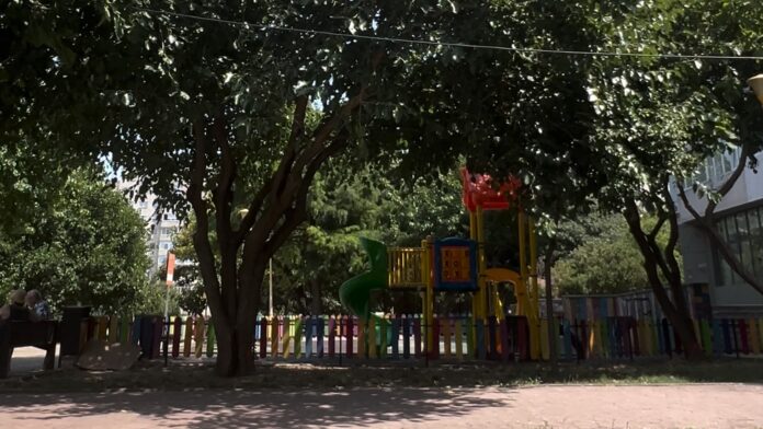 WhatsApp Image 2025-07-29 at 11.16.32 (2)