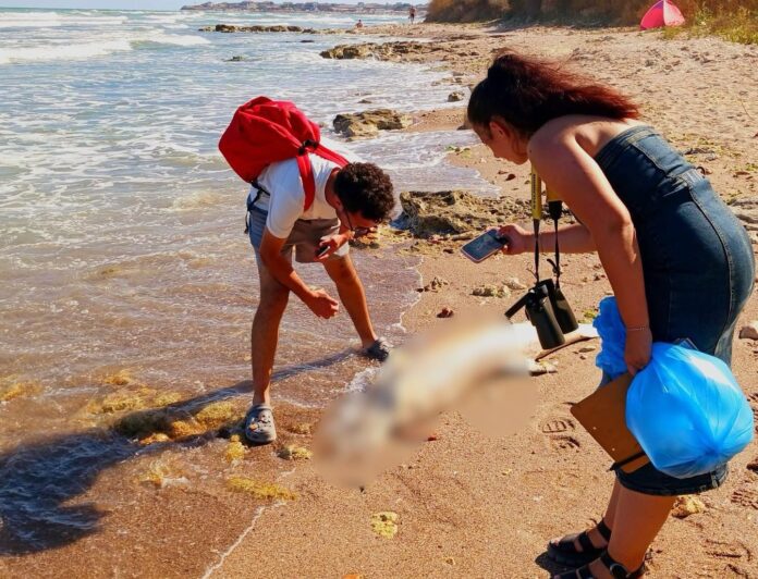 515318344_1243948284441047_4090515983034199781_n