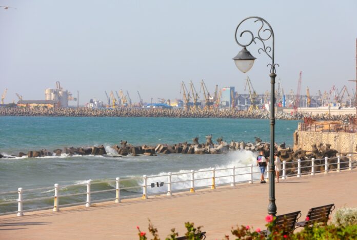 thumbnail_1 (8)