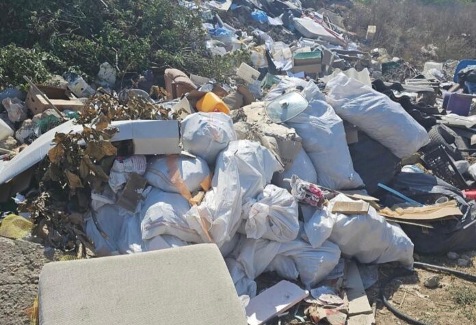 WhatsApp Image 2025-09-22 at 09.52.02