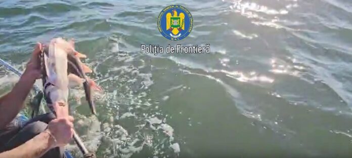 WhatsApp Image 2025-11-03 at 13.01.06