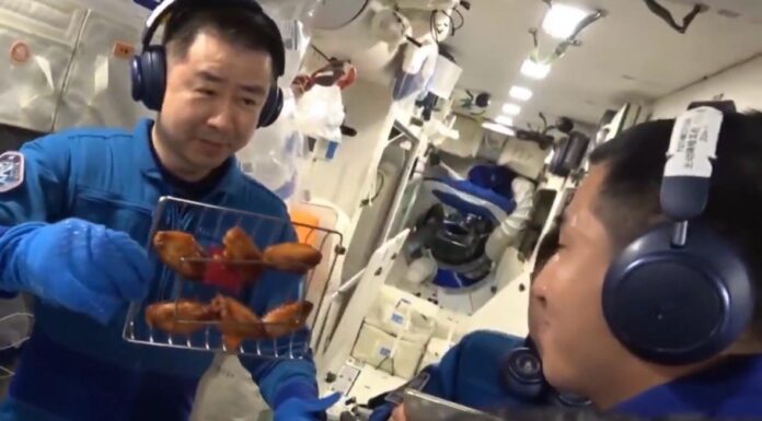 WhatsApp Image 2025-11-04 at 13.35.14