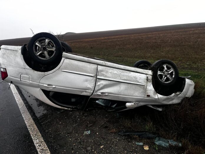 WhatsApp Image 2025-11-06 at 13.34.44 (1)