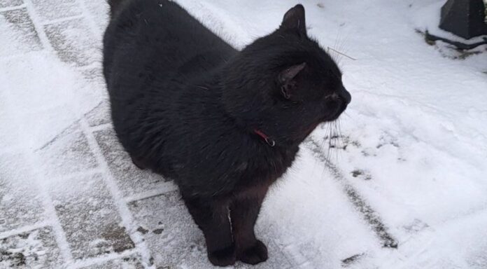 7eb9072916421d0f688282a2f50a504e