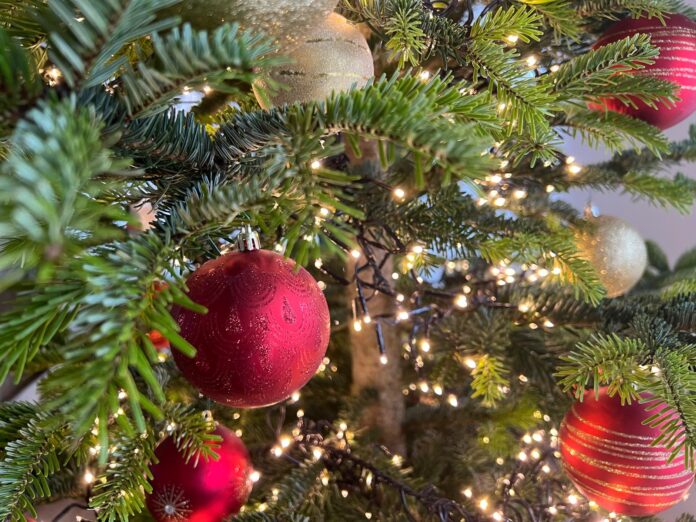 WhatsApp Image 2025-12-23 at 10.21.34