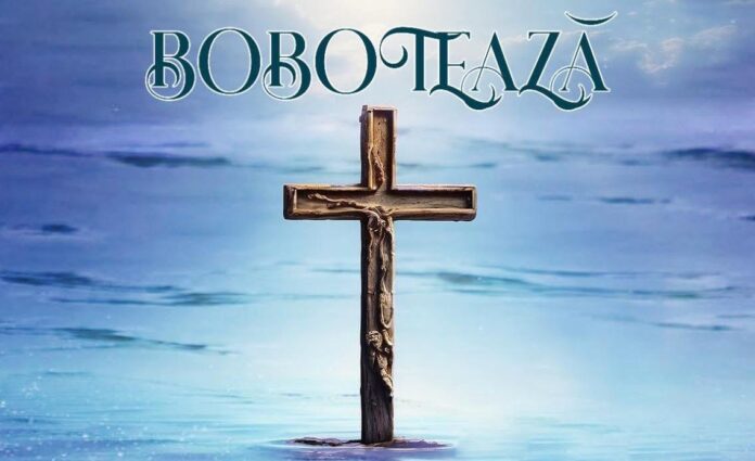 WhatsApp Image 2026-01-02 at 16.00.22