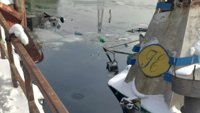 poluare-dunare-576x1024